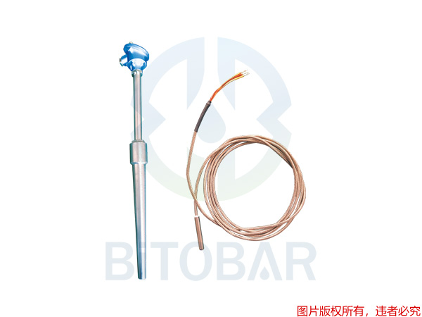 BTB-WD-630/191系列温度计