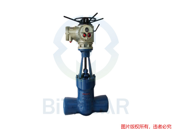 电站专用阀门