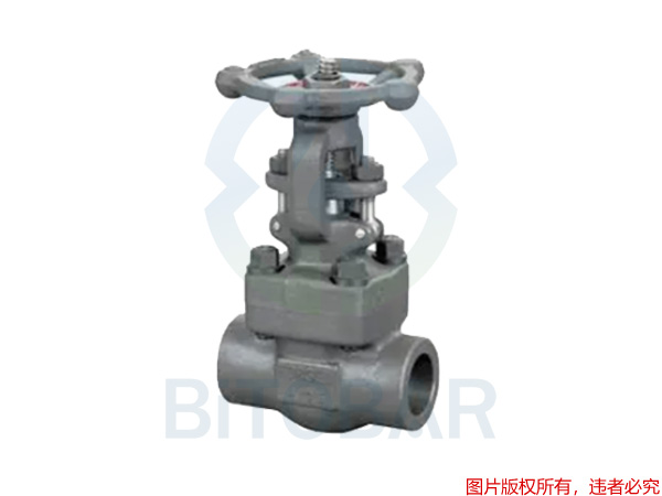 承插/内螺纹焊闸阀